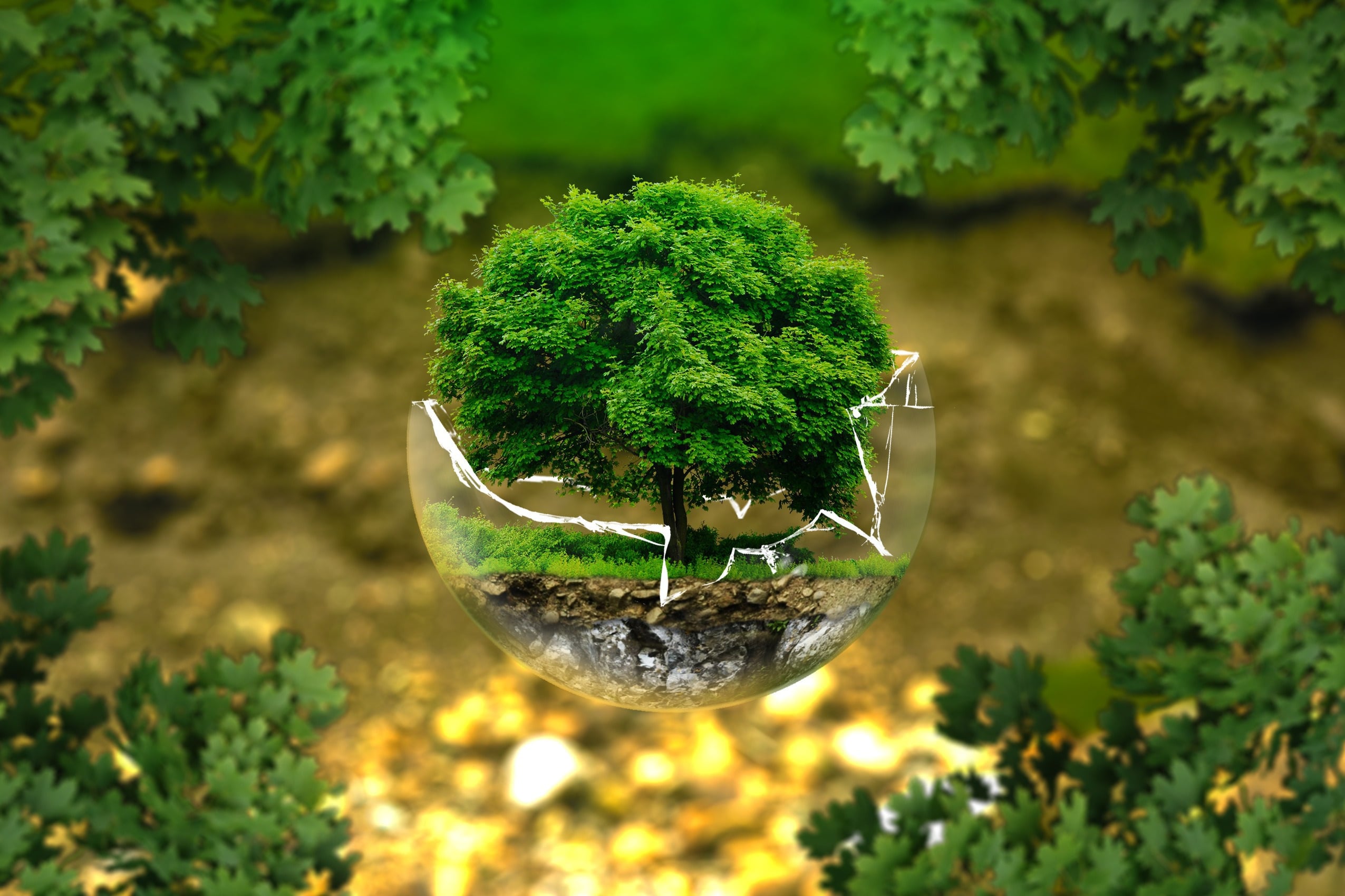 Árbol representado dentro de una esfera de cristal en un entorno verde.